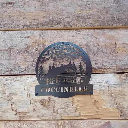 Coccinelle, 4 Couchages, Acces Et Sauna Chalet